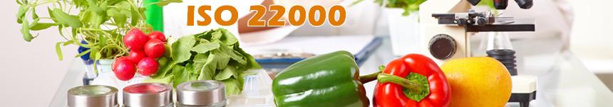 ISO 22000:2005 Gıda Güvenliği Yönetim Sistemi Nedir?